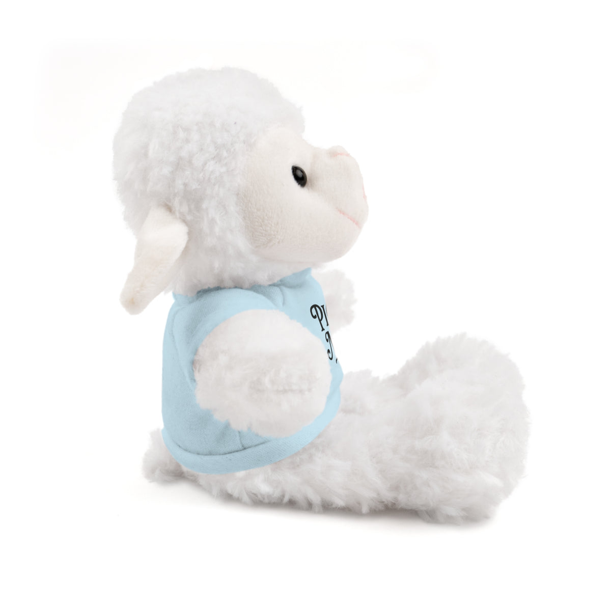 Pick Me Plush Bear with Tee — Cute Stuffed Animal Gift