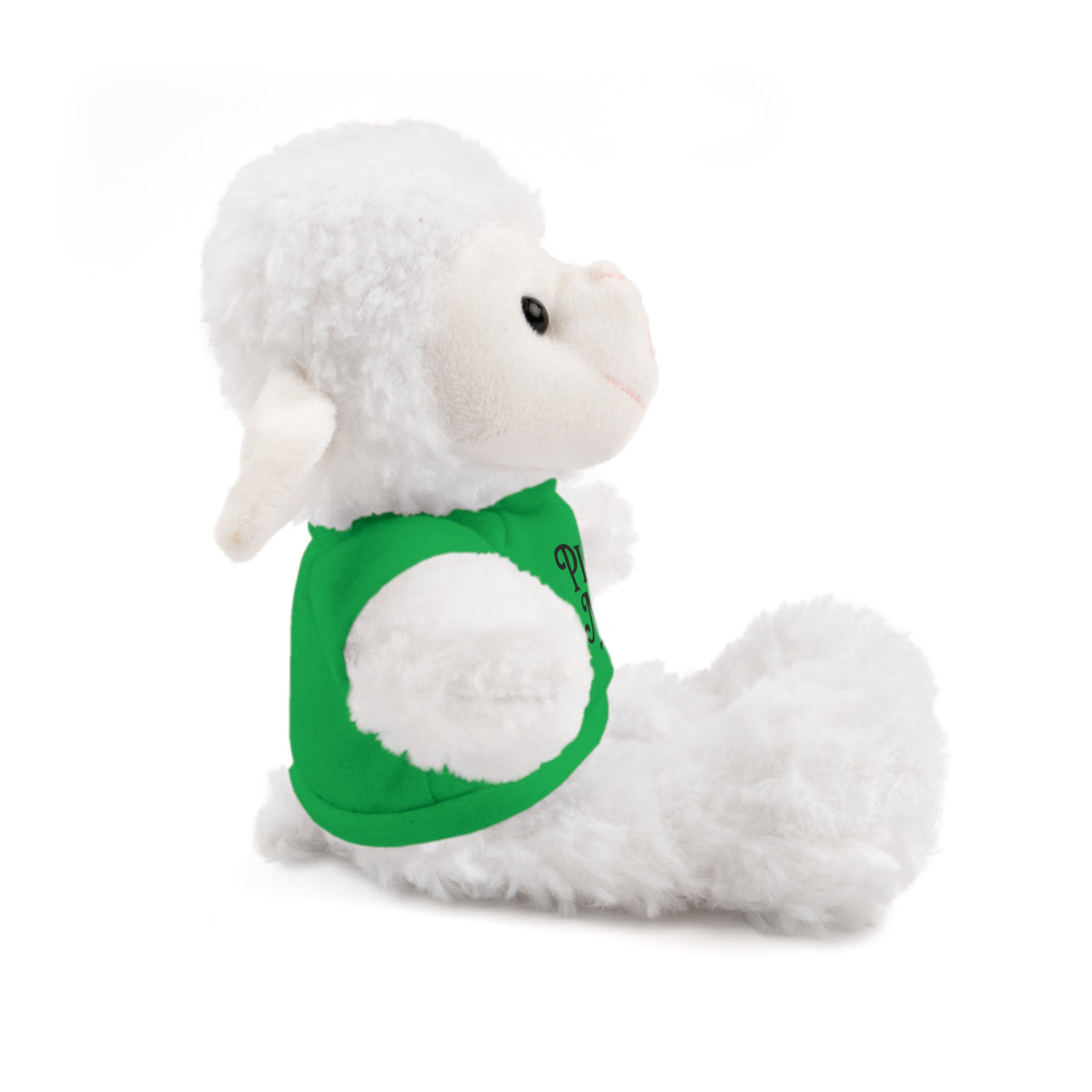 Pick Me Plush Bear with Tee — Cute Stuffed Animal Gift