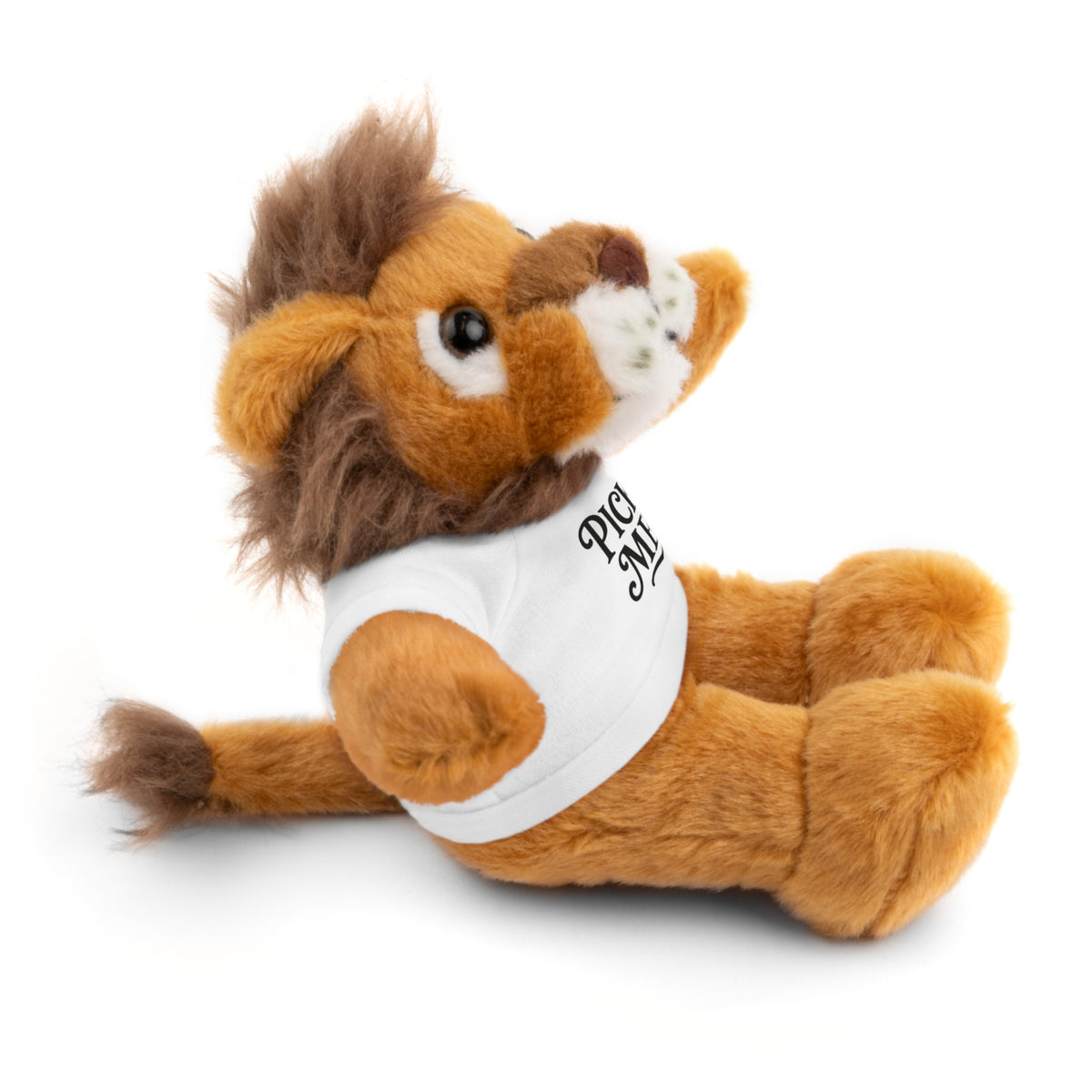 Pick Me Plush Bear with Tee — Cute Stuffed Animal Gift