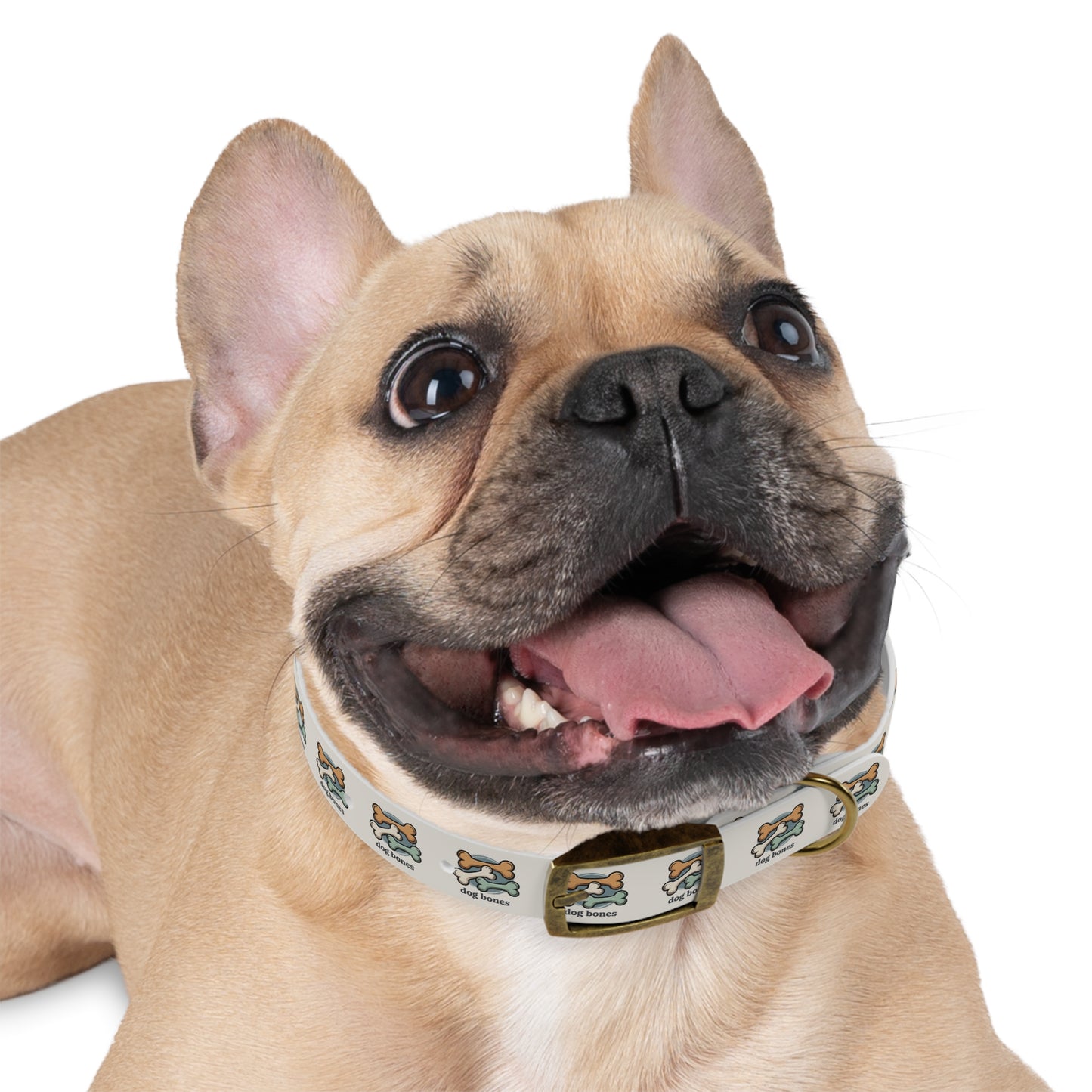Dog Bones Print Dog Collar — Cute Cartoon Bone Pattern Collar for Small & Large Dogs