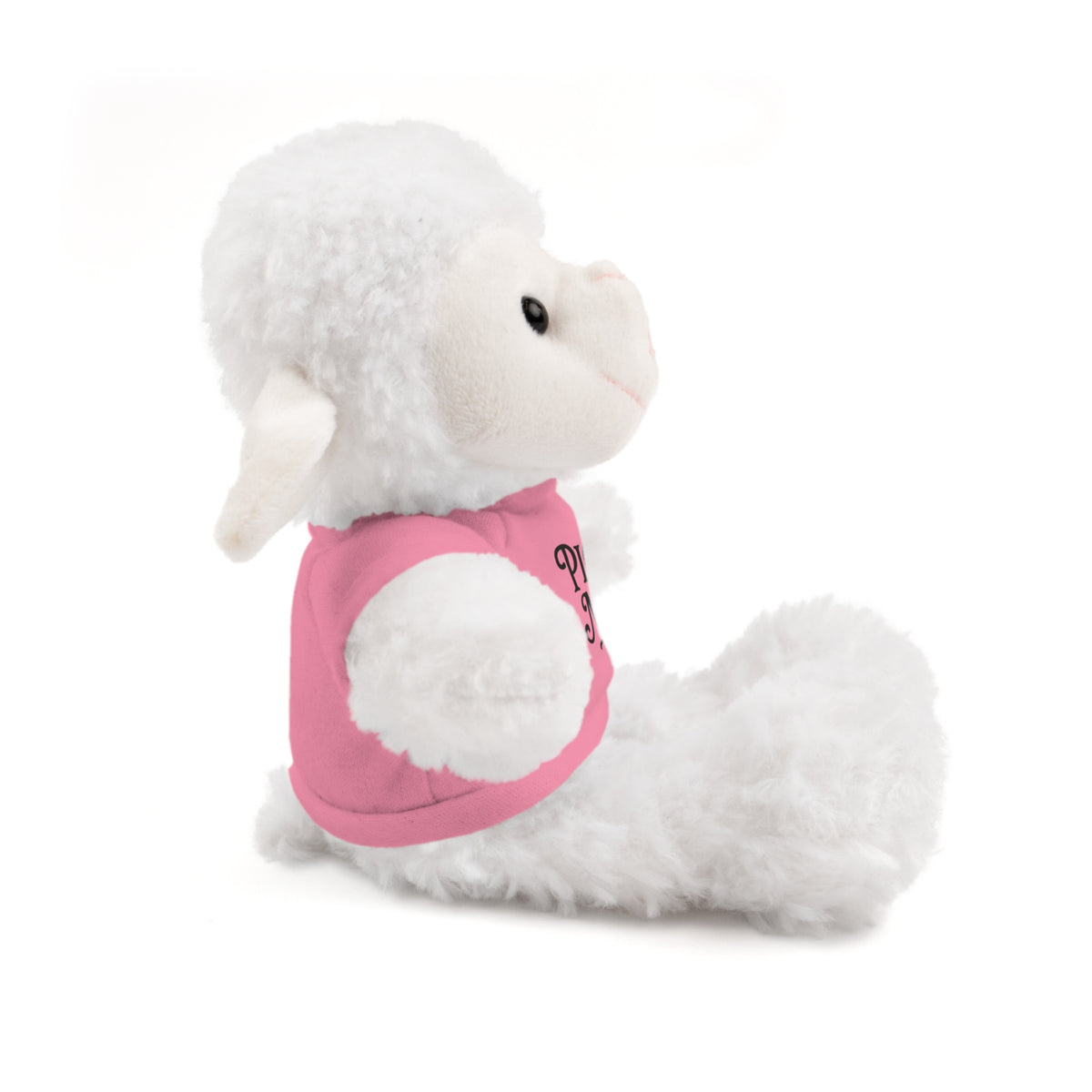 Pick Me Plush Bear with Tee — Cute Stuffed Animal Gift