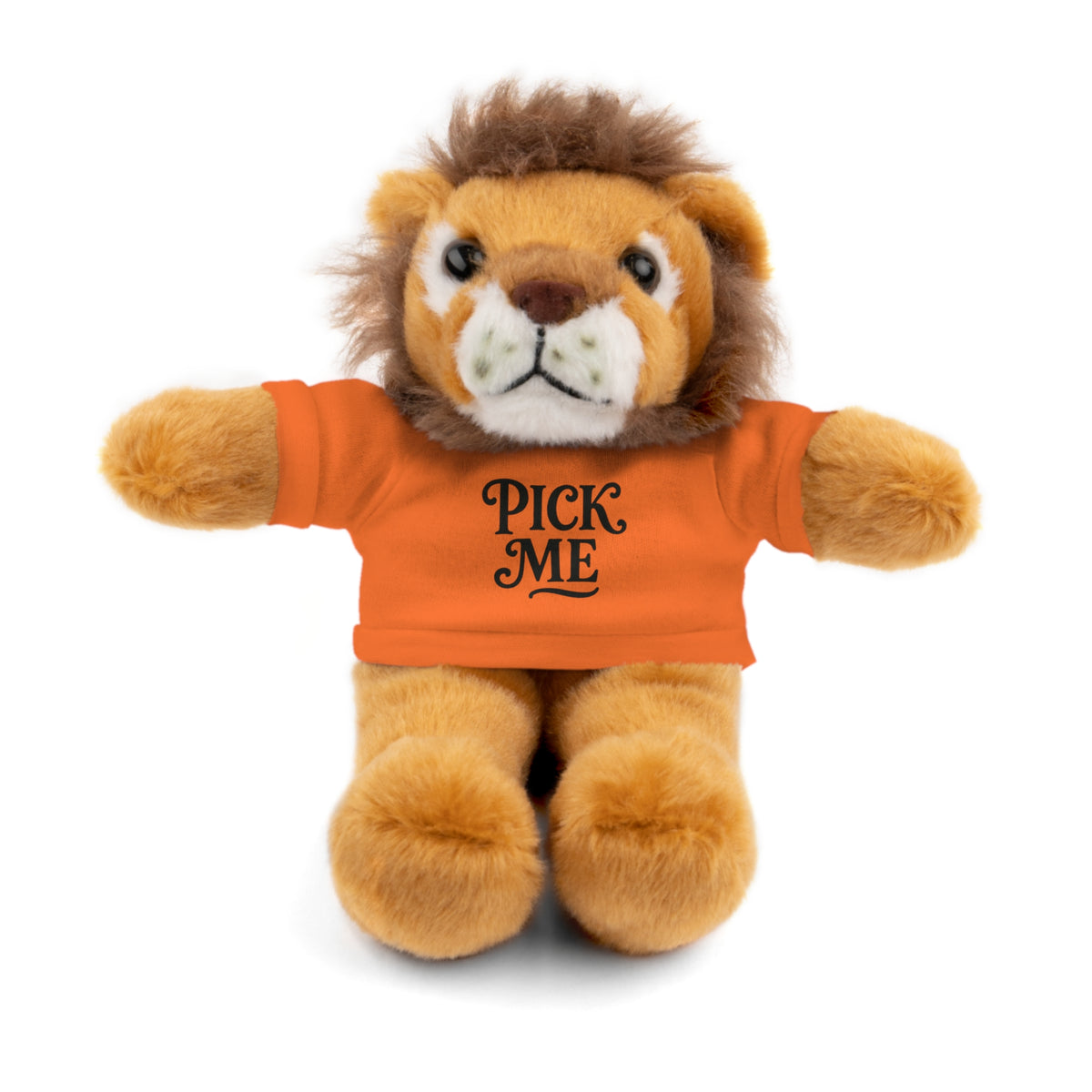 Pick Me Plush Bear with Tee — Cute Stuffed Animal Gift