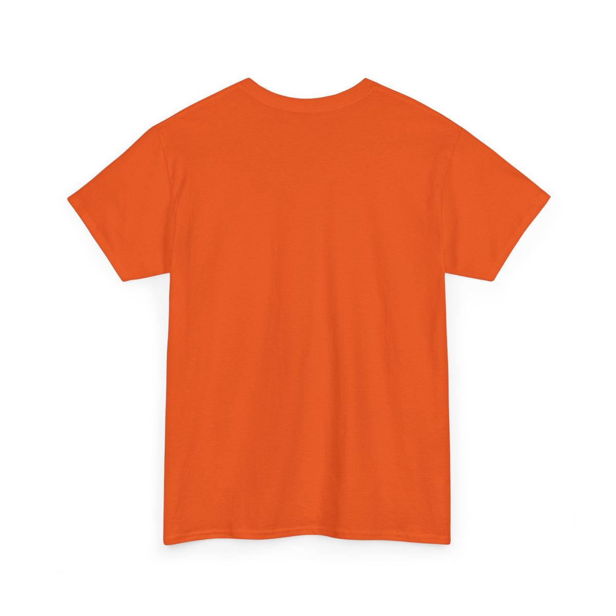 Charming Graphic Tee - "Too Pretty To Be Silly"