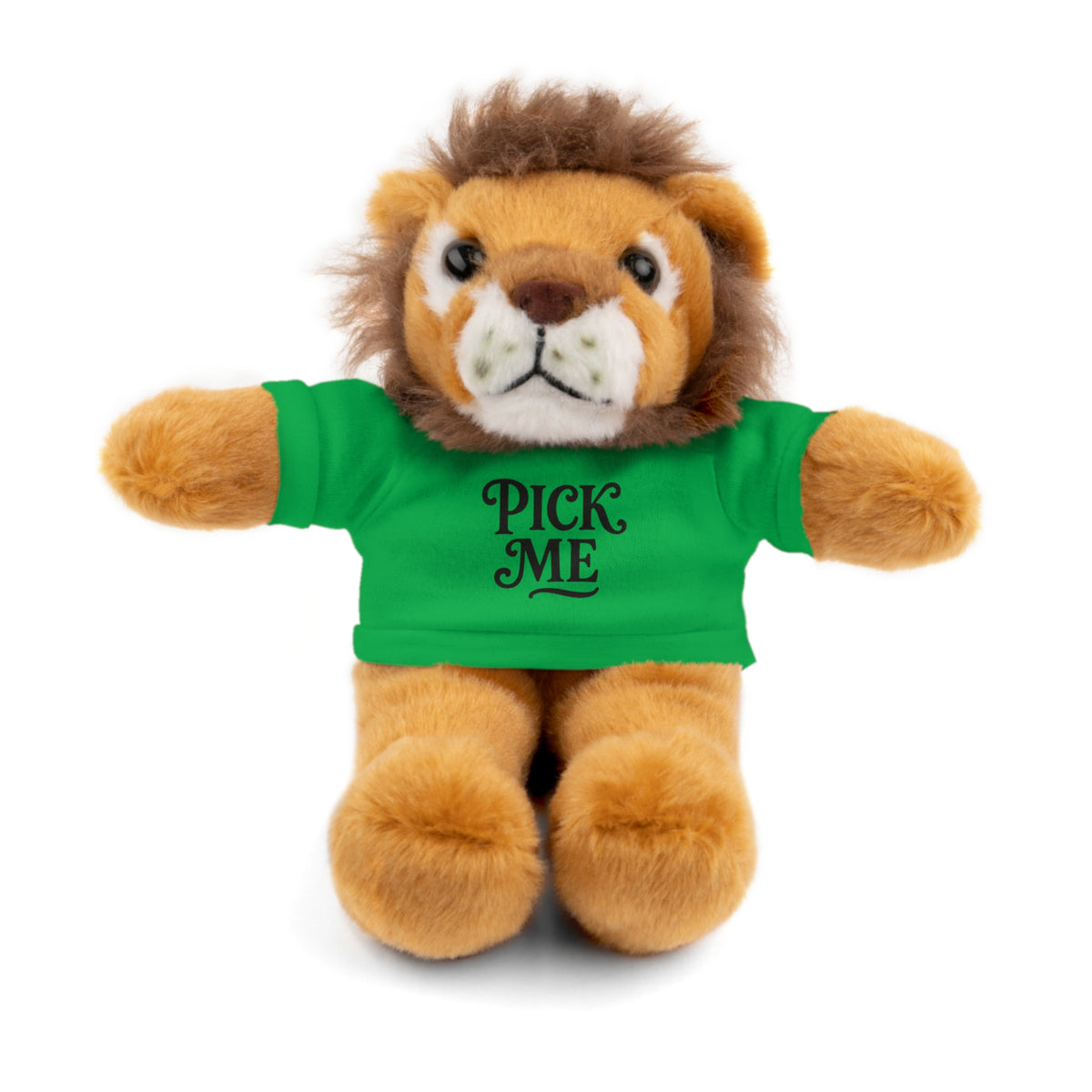 Pick Me Plush Bear with Tee — Cute Stuffed Animal Gift