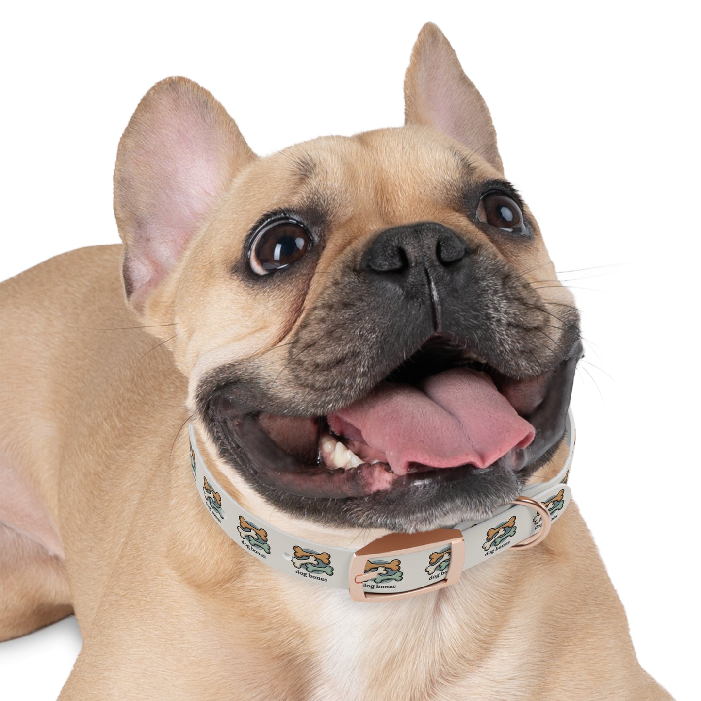 Dog Bones Print Dog Collar — Cute Cartoon Bone Pattern Collar for Small & Large Dogs