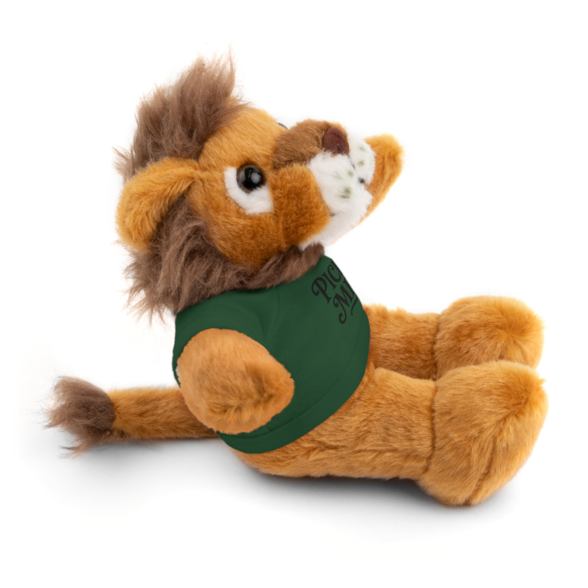 Pick Me Plush Bear with Tee — Cute Stuffed Animal Gift