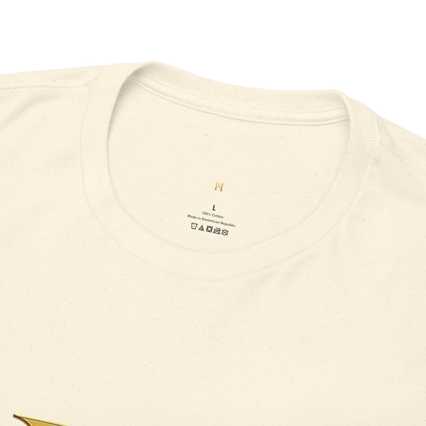 Be Bold Be Colorful Graphic Tee — Vibrant Hills Solution T-Shirt