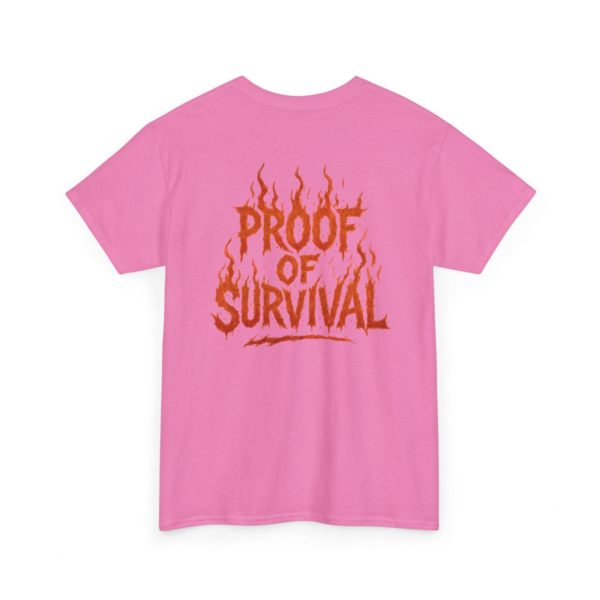 Graphic Tee — 'No Regrets' / 'Proof of Survival' Flame Text Shirt