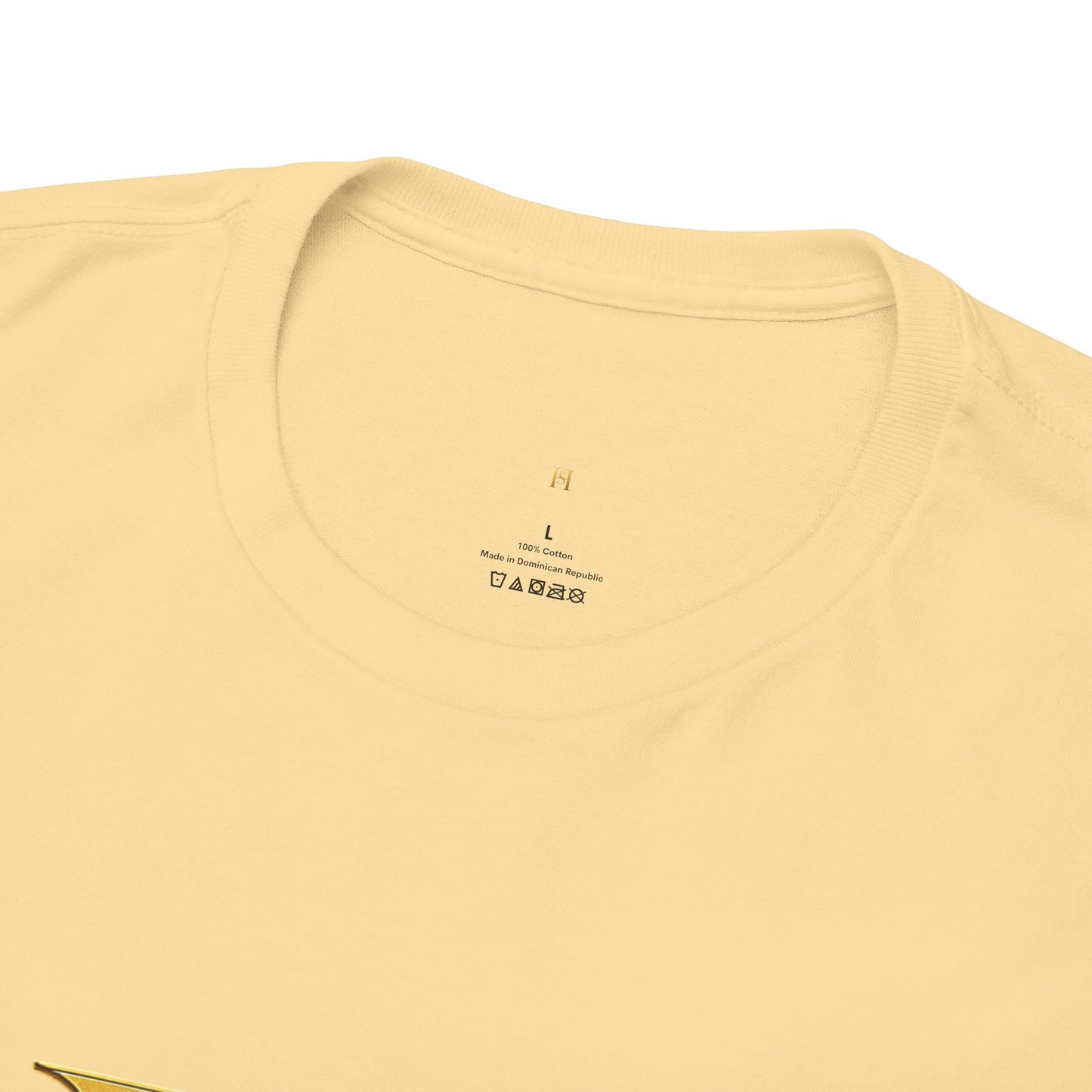 Be Bold Be Colorful Graphic Tee — Vibrant Hills Solution T-Shirt