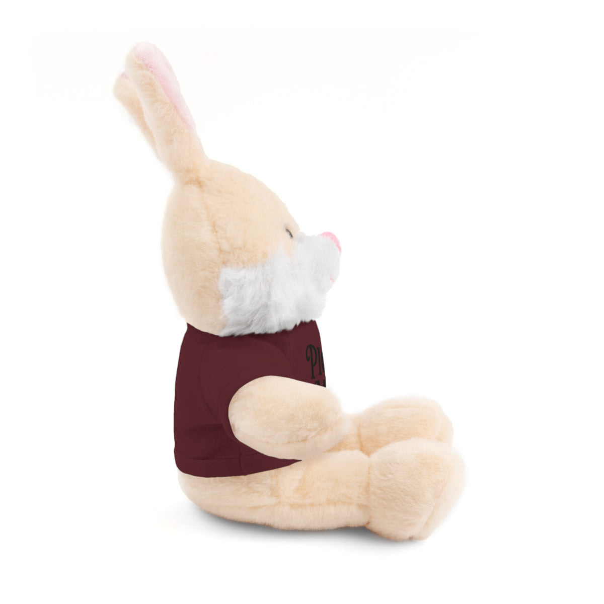 Pick Me Plush Bear with Tee — Cute Stuffed Animal Gift