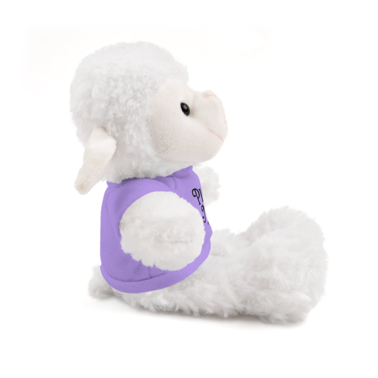 Pick Me Plush Bear with Tee — Cute Stuffed Animal Gift