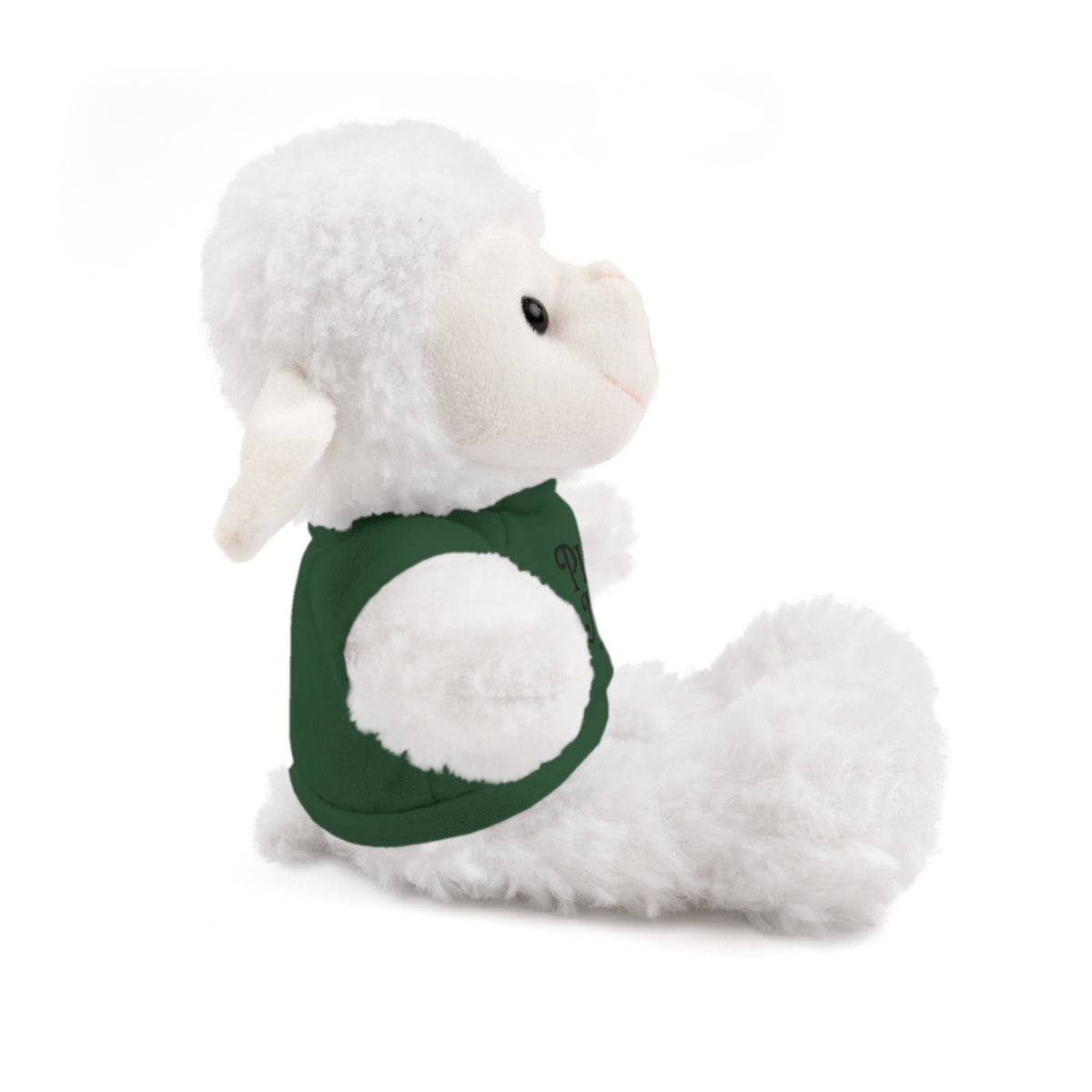 Pick Me Plush Bear with Tee — Cute Stuffed Animal Gift