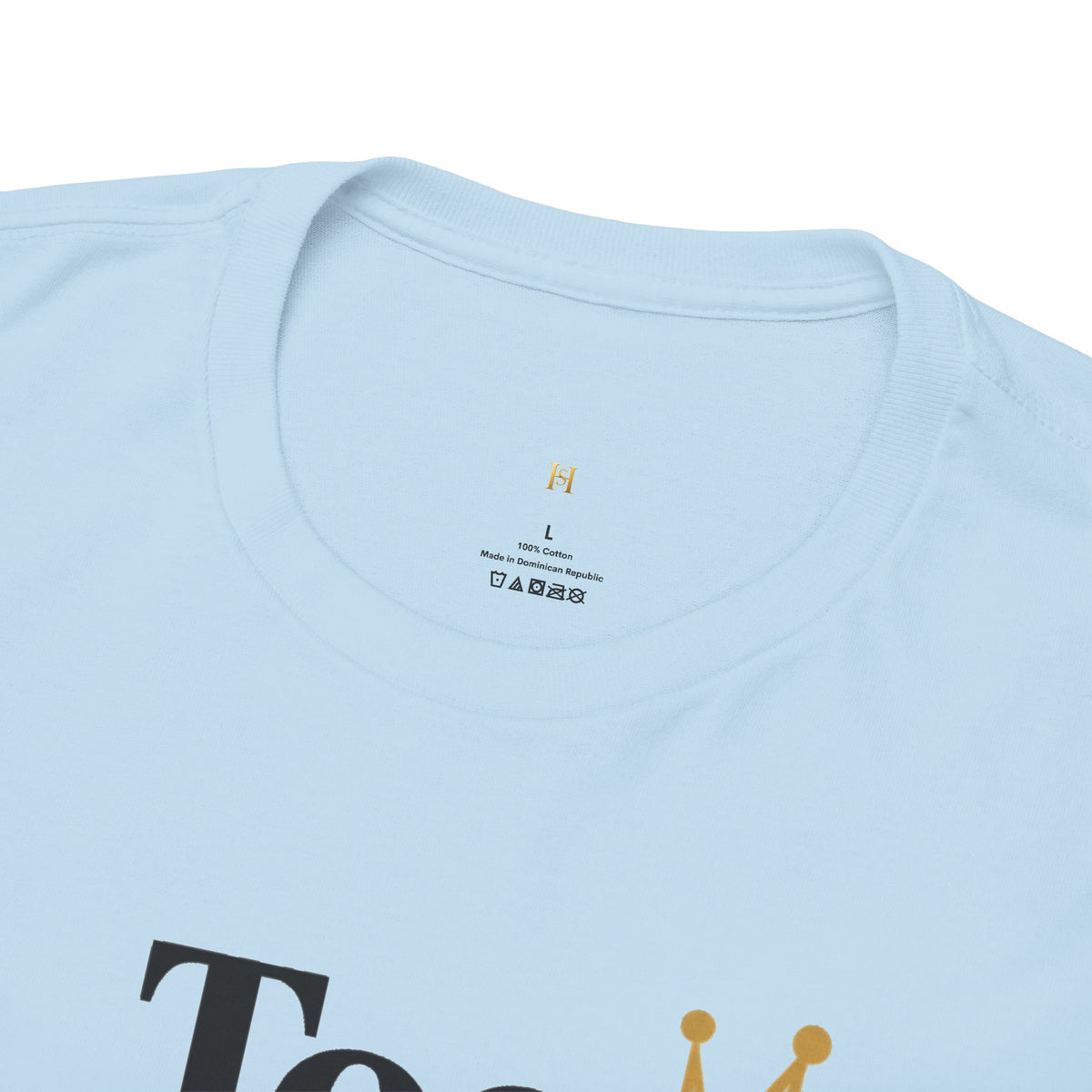 Charming Graphic Tee - "Too Pretty To Be Silly"