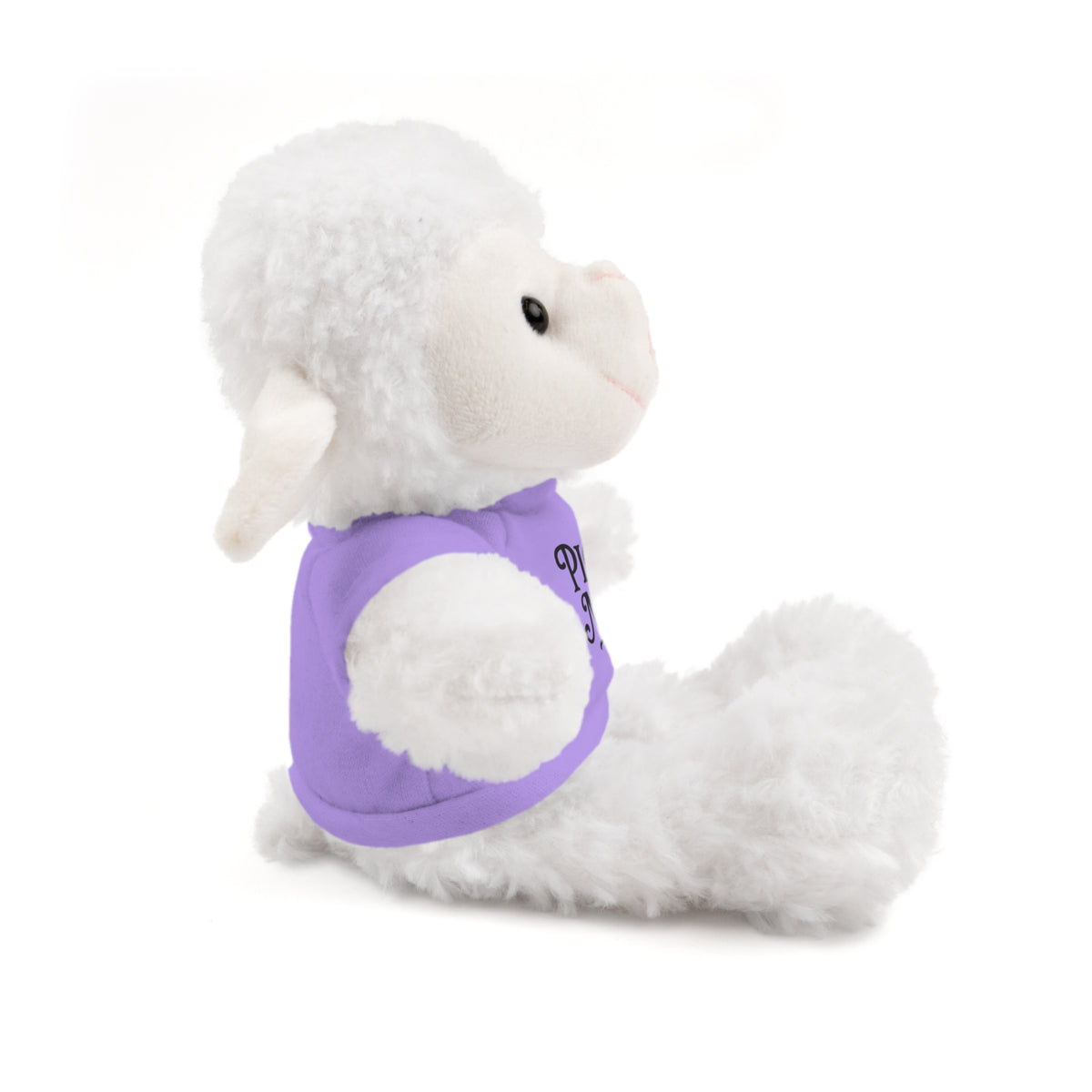 Pick Me Plush Bear with Tee — Cute Stuffed Animal Gift