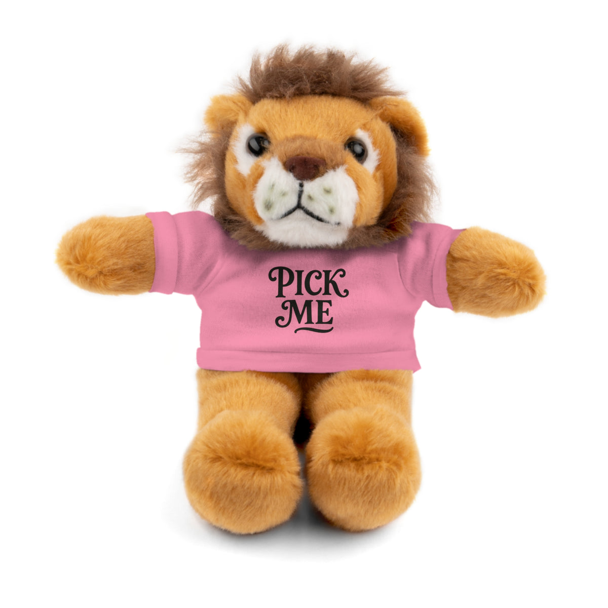 Pick Me Plush Bear with Tee — Cute Stuffed Animal Gift