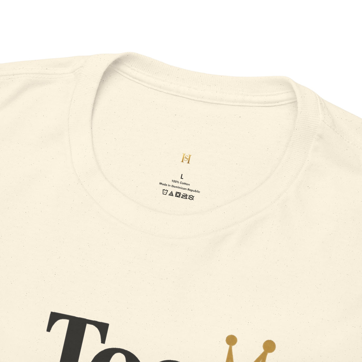 Charming Graphic Tee - "Too Pretty To Be Silly"