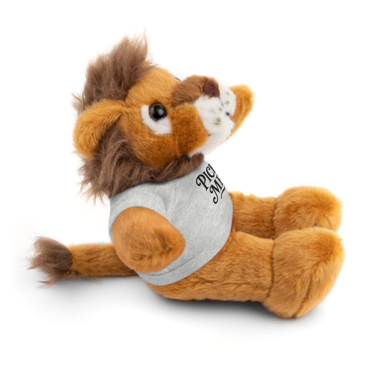 Pick Me Plush Bear with Tee — Cute Stuffed Animal Gift