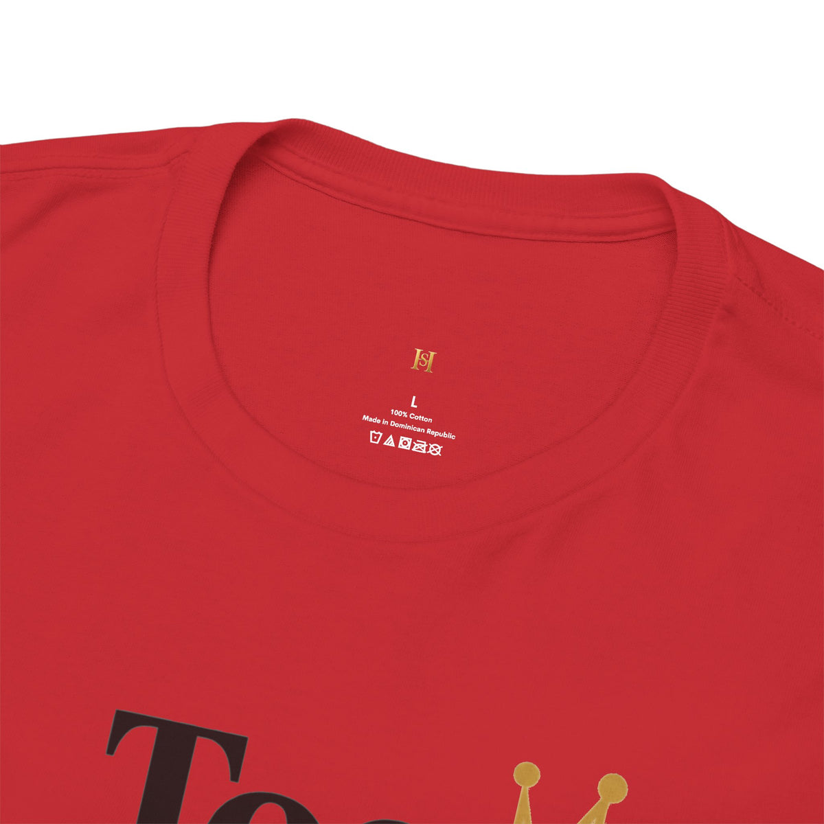 Charming Graphic Tee - "Too Pretty To Be Silly"