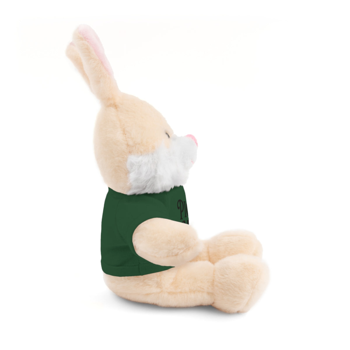 Pick Me Plush Bear with Tee — Cute Stuffed Animal Gift