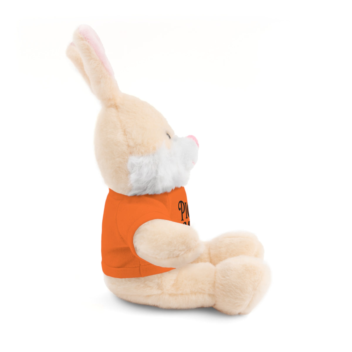 Pick Me Plush Bear with Tee — Cute Stuffed Animal Gift