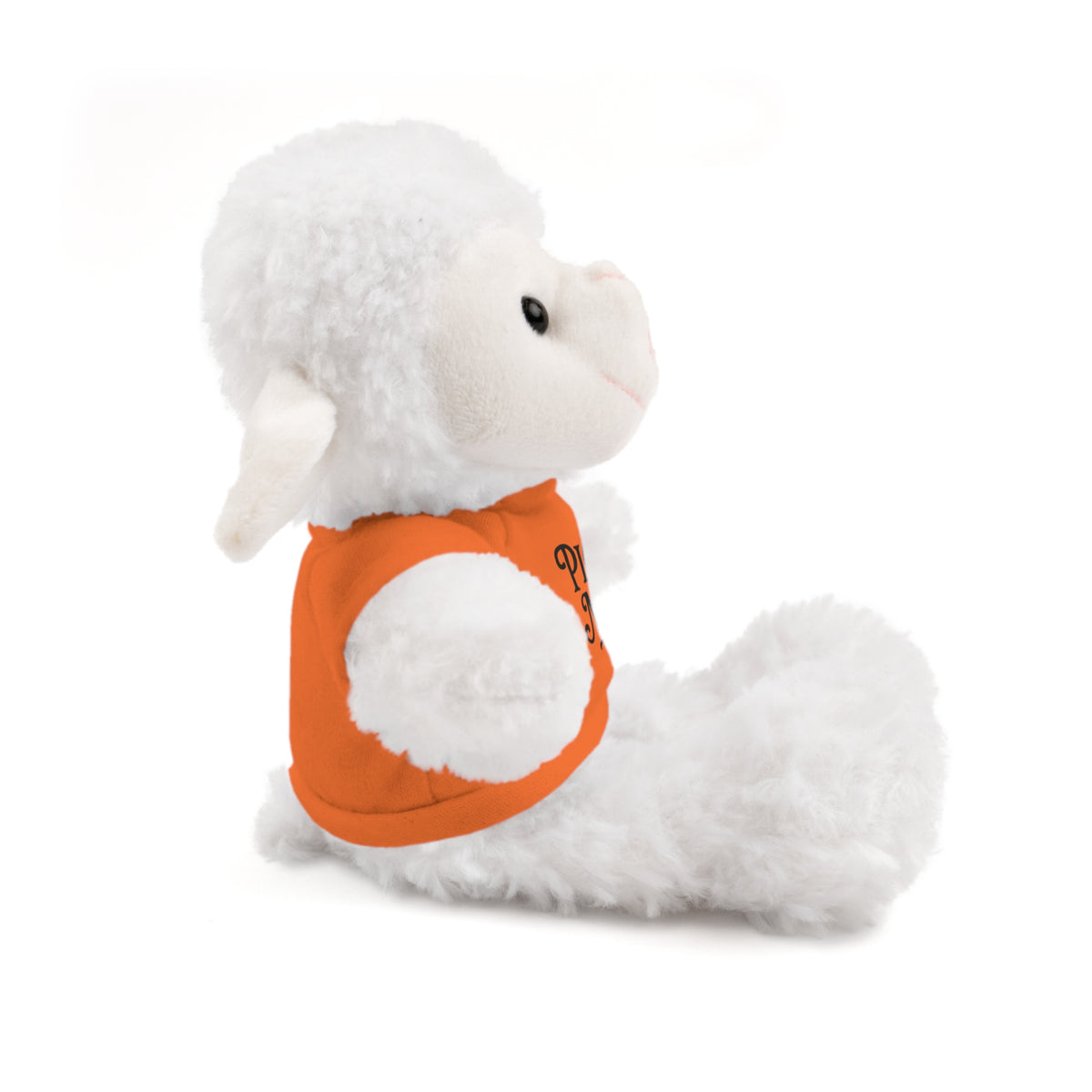 Pick Me Plush Bear with Tee — Cute Stuffed Animal Gift