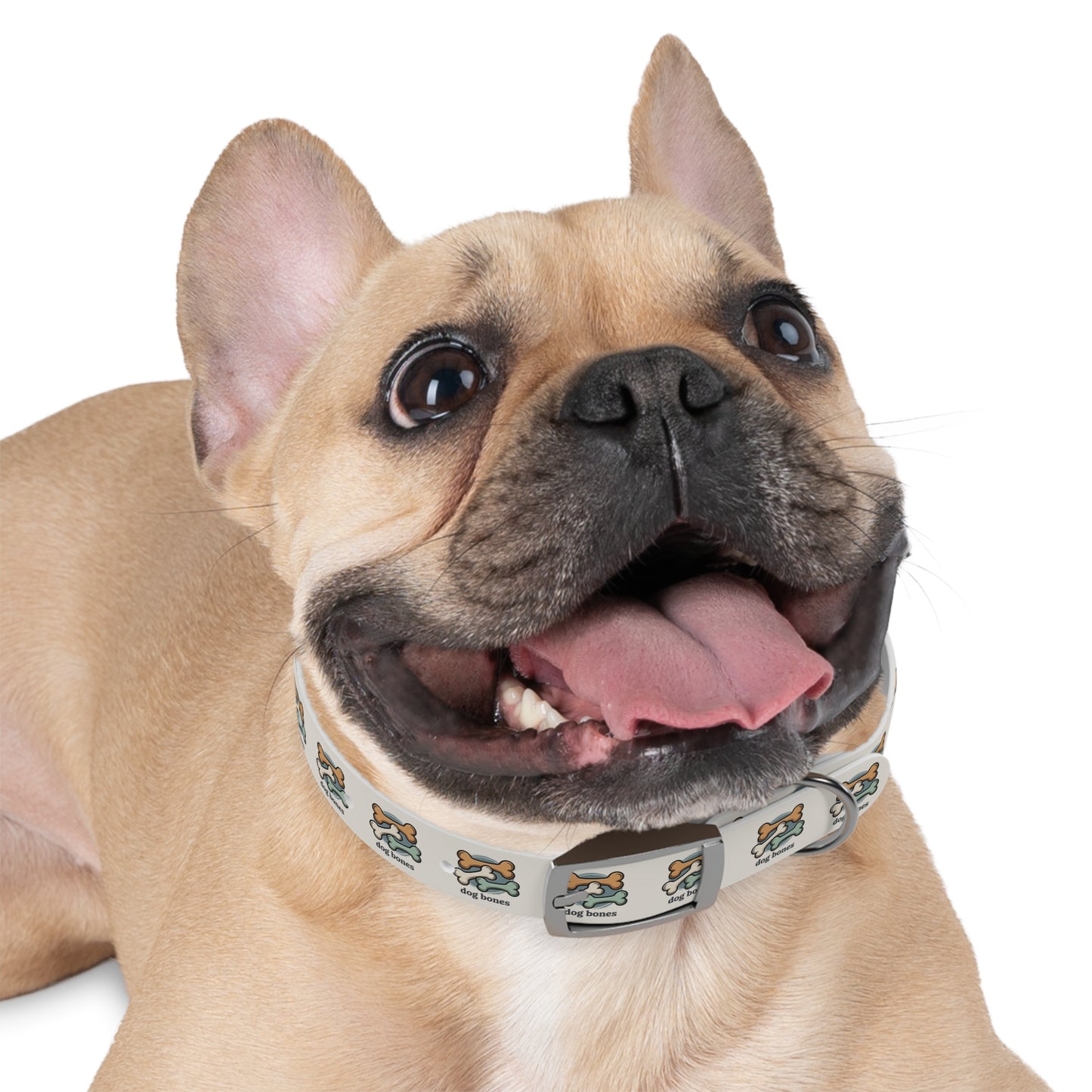 Dog Bones Print Dog Collar — Cute Cartoon Bone Pattern Collar for Small & Large Dogs