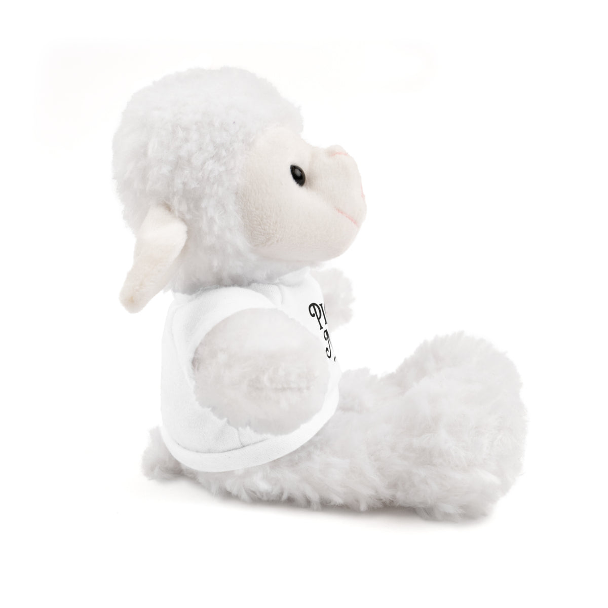 Pick Me Plush Bear with Tee — Cute Stuffed Animal Gift