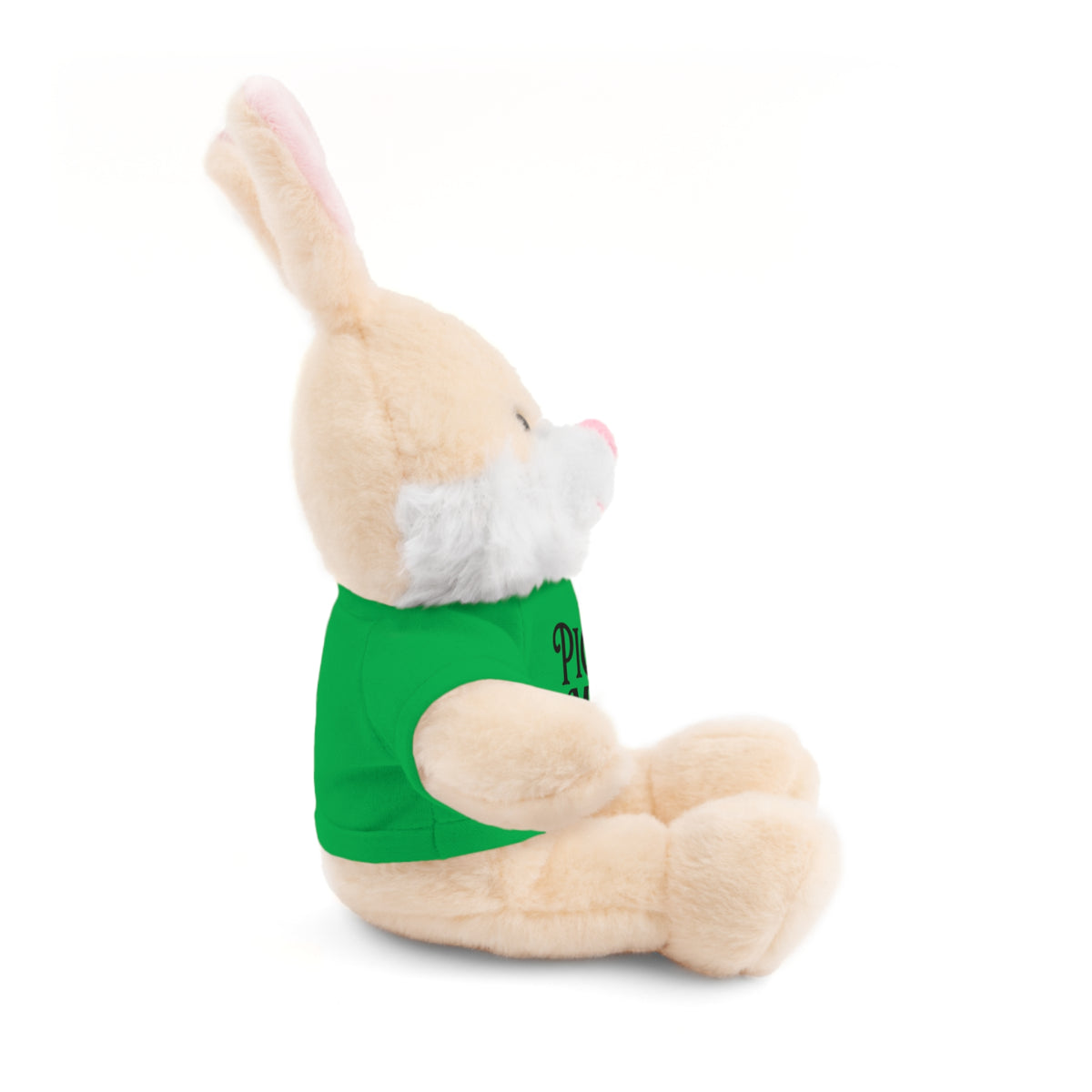 Pick Me Plush Bear with Tee — Cute Stuffed Animal Gift