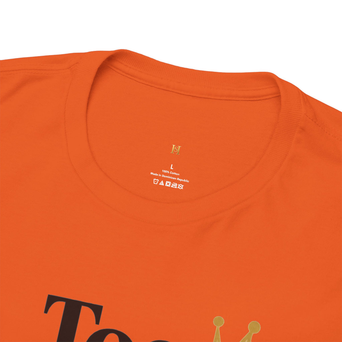 Charming Graphic Tee - "Too Pretty To Be Silly"