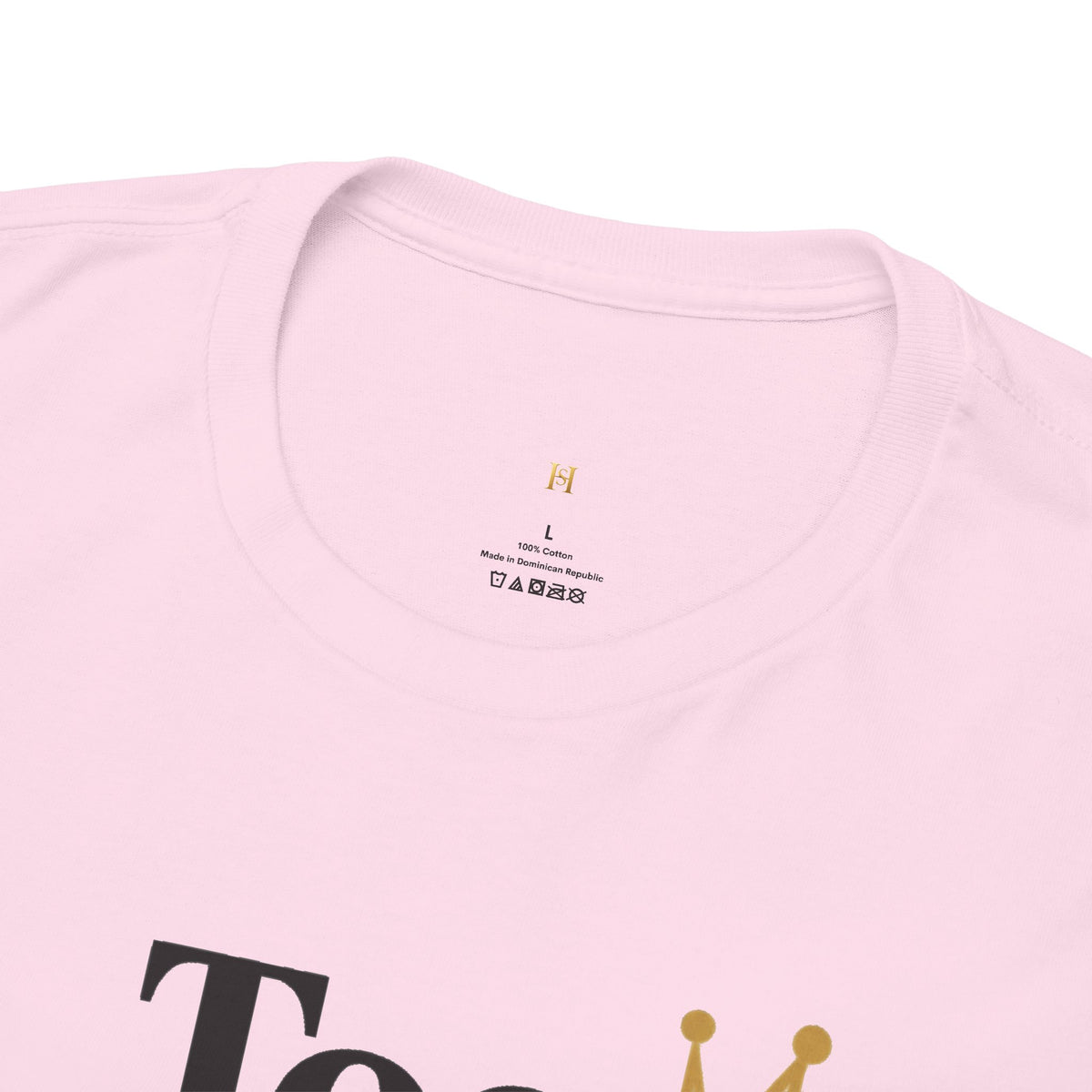 Charming Graphic Tee - "Too Pretty To Be Silly"