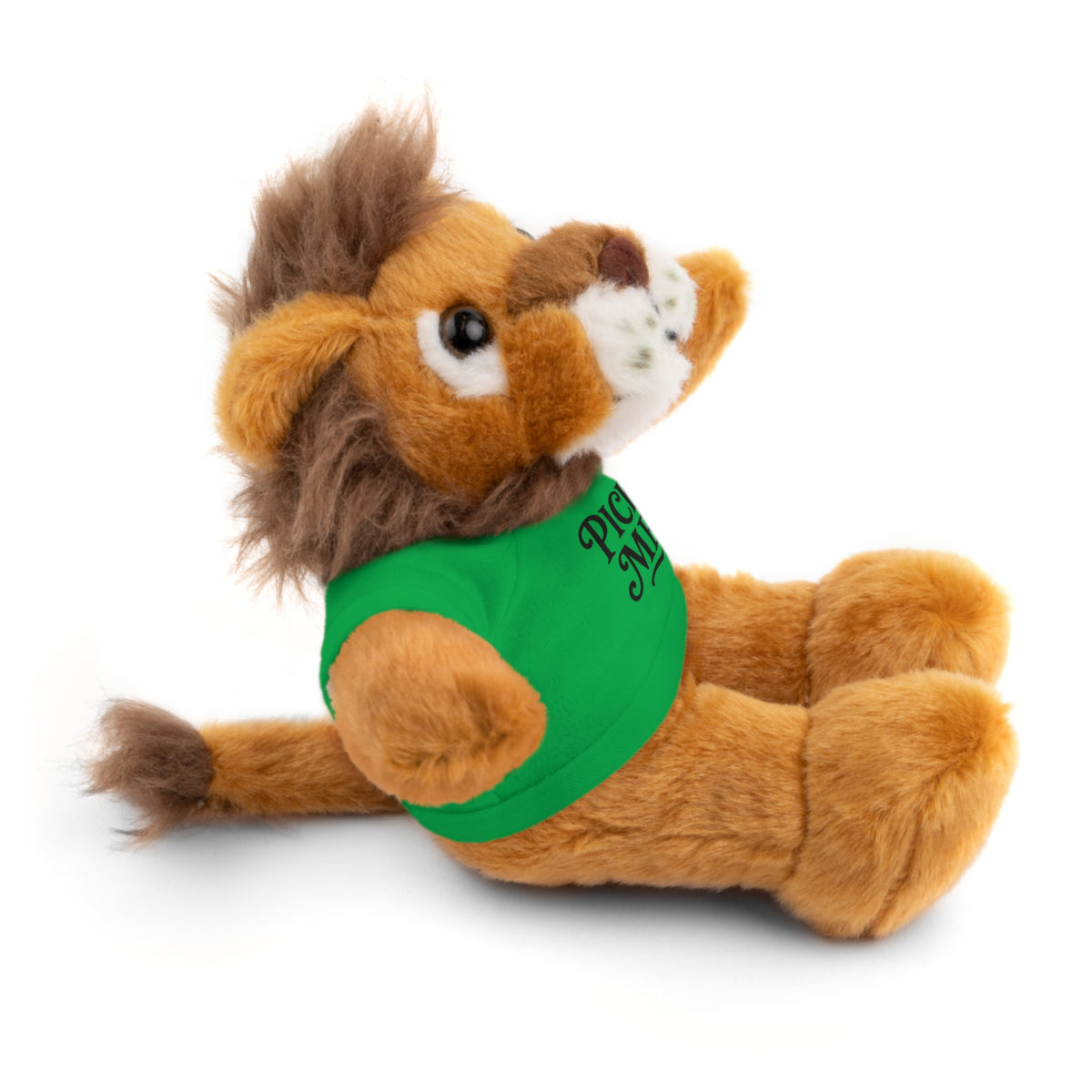 Pick Me Plush Bear with Tee — Cute Stuffed Animal Gift