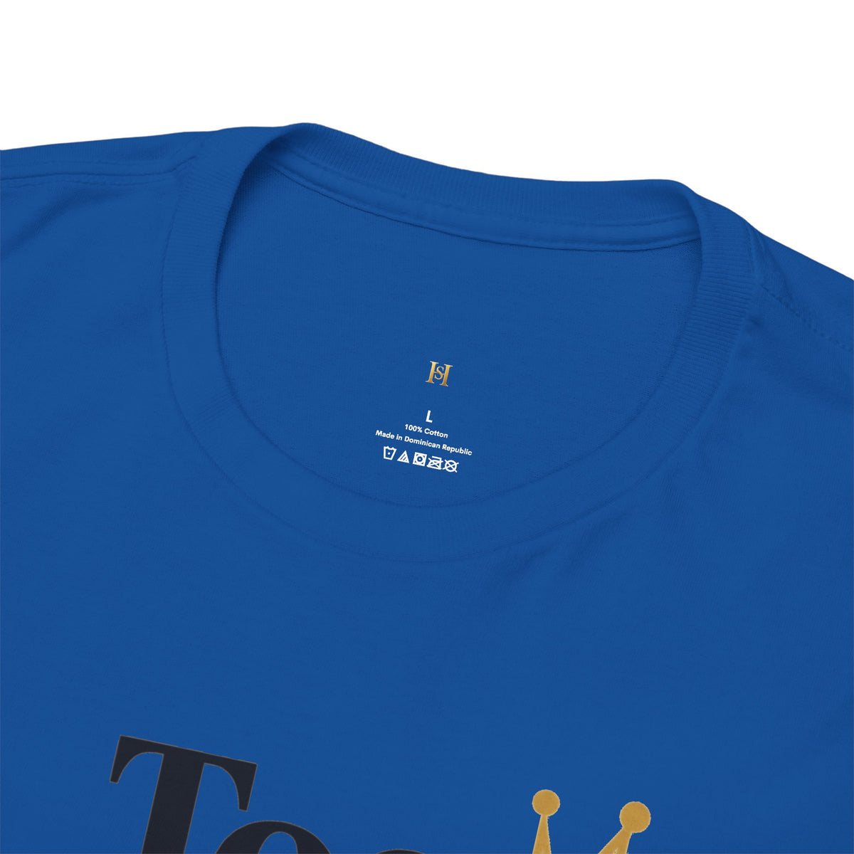 Charming Graphic Tee - "Too Pretty To Be Silly"