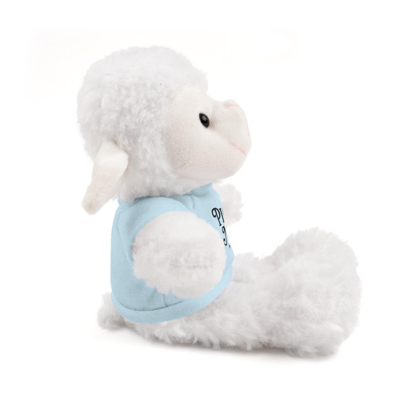 Pick Me Plush Bear with Tee — Cute Stuffed Animal Gift